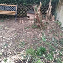 Unbetiteltes Referenzbild