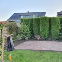 Unbetiteltes Referenzbild