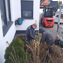 Unbetiteltes Referenzbild