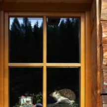 Unbetiteltes Referenzbild