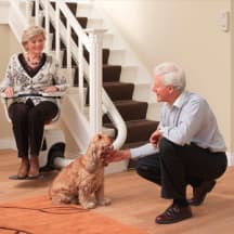 Unbetiteltes Referenzbild