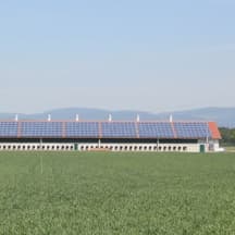 Unbetiteltes Referenzbild