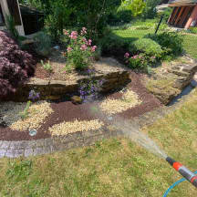 Unbetiteltes Referenzbild