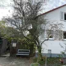 Unbetiteltes Referenzbild