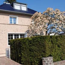 Unbetiteltes Referenzbild