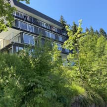 Unbetiteltes Referenzbild