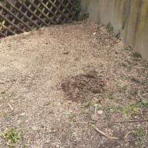 Unbetiteltes Referenzbild