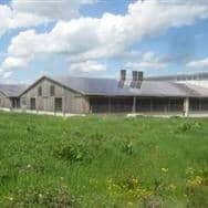 Unbetiteltes Referenzbild