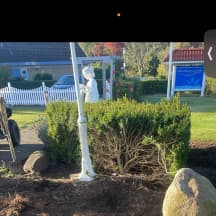 Unbetiteltes Referenzbild