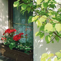 Unbetiteltes Referenzbild