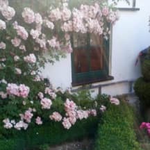 Unbetiteltes Referenzbild