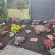 Unbetiteltes Referenzbild