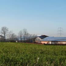 Unbetiteltes Referenzbild