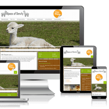 Unbetiteltes Referenzbild