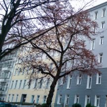 Unbetiteltes Referenzbild