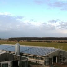 Unbetiteltes Referenzbild