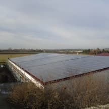 Unbetiteltes Referenzbild