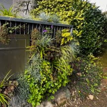 Unbetiteltes Referenzbild