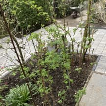 Unbetiteltes Referenzbild