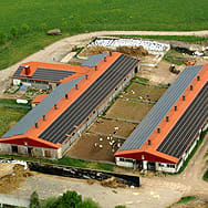 Unbetiteltes Referenzbild