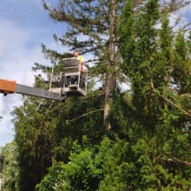 Unbetiteltes Referenzbild