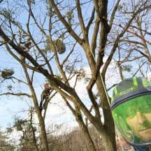 Unbetiteltes Referenzbild