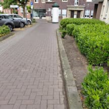 Unbetiteltes Referenzbild