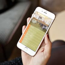 Unbetiteltes Referenzbild