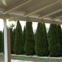 Unbetiteltes Referenzbild