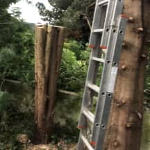 Unbetiteltes Referenzbild