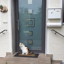 Unbetiteltes Referenzbild