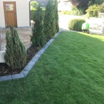 Unbetiteltes Referenzbild