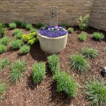 Unbetiteltes Referenzbild