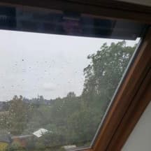 Unbetiteltes Referenzbild