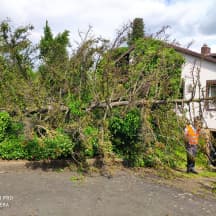 Unbetiteltes Referenzbild