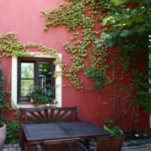 Unbetiteltes Referenzbild