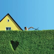 Unbetiteltes Referenzbild