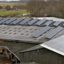 Unbetiteltes Referenzbild