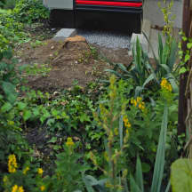 Unbetiteltes Referenzbild