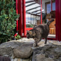 Unbetiteltes Referenzbild