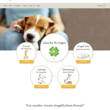 Unbetiteltes Referenzbild