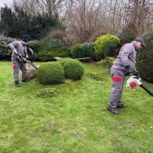 Unbetiteltes Referenzbild