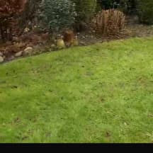 Unbetiteltes Referenzbild