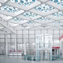 Unbetiteltes Referenzbild