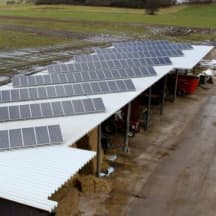 Unbetiteltes Referenzbild