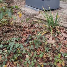 Unbetiteltes Referenzbild