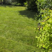 Unbetiteltes Referenzbild