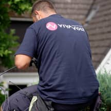 Unbetiteltes Referenzbild