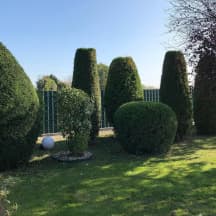 Unbetiteltes Referenzbild