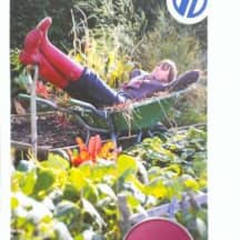 Unbetiteltes Referenzbild